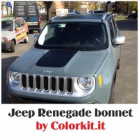 Bonnet Renegade 2014