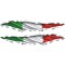 Effetto strappo bandiera Italia 01 (varie misure)