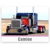 Camion e Tir Camion e Tir