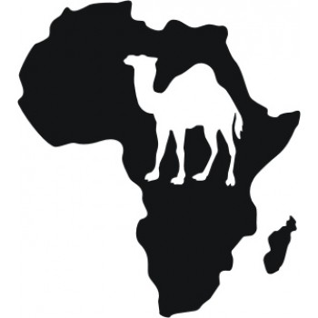 Africa dromedario