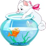 Gattino con pesce