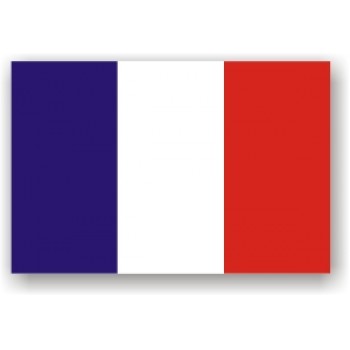 Bandiera Francese cm 21x14