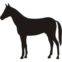 Cavallo 001 cm 9x8 STK