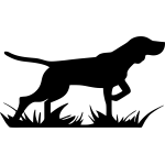 Pointer 01(varie misure)