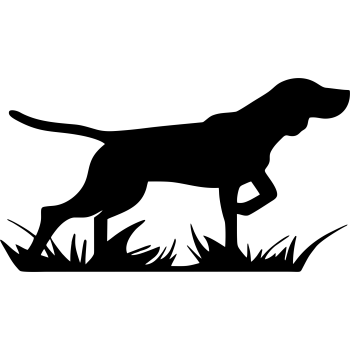 Pointer 01(varie misure)