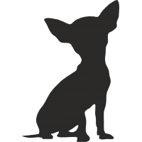 Chihuahua (varie misure)