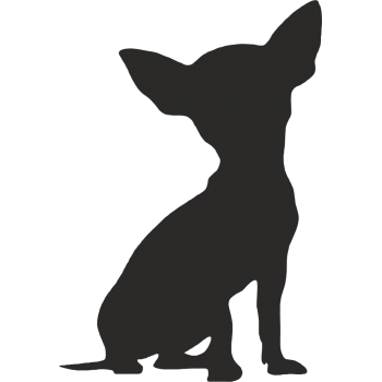 Chihuahua (varie misure)