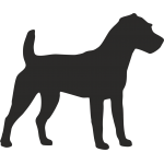 Jack russell terrier (varie misure)