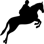 Cavallo 004 Horse jumping (varie misure)