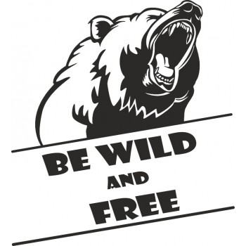 Orso- Be wild and free
