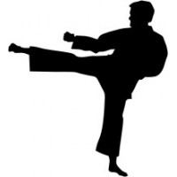 Karate (Varie misure)