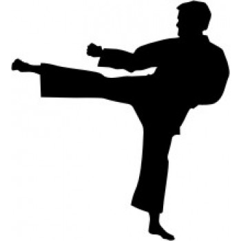 Karate cm 8x9 STK