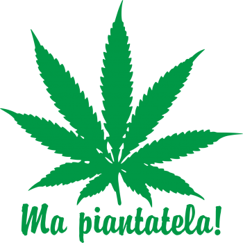 Foglia Marijuana (Varie misure)
