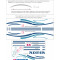 Adesivi per Adriatik Coral del 2008 Adesivi per Adriatik Coral del 2008