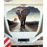 Stampa per cofano - Elefante