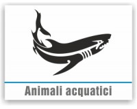 Animali Acquatici