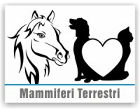 Mammiferi Terrestri