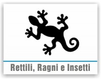 Rettili, Ragni e Insetti