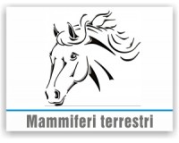 Mammiferi terrestri 3D