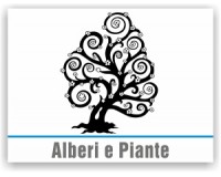 Alberi e piante