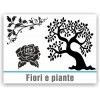 Fiori e piante Fiori e piante
