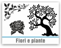 Fiori e piante