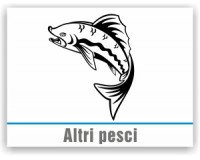 Altri pesci