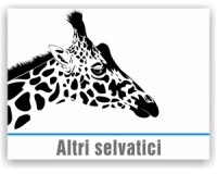 Altri selvatici