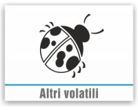 Altri volatili