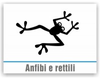 Anfibi e Rettili