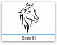 Cavalli