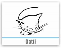 Gatti