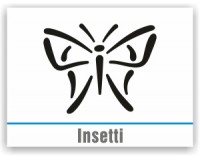 Insetti