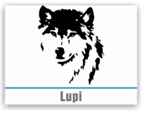 Lupi