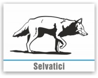 Selvatici