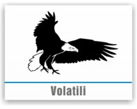 Volatili